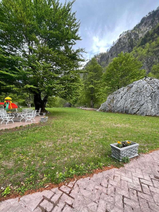 Bujtina Rilindja Guest House Valbone 瓦勒博内 外观 照片